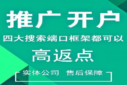 SEO与SEM优化案例：助力企业实现品牌升级